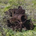 tractor_town_yankee_wc_h_0090_tci0090.jpg
